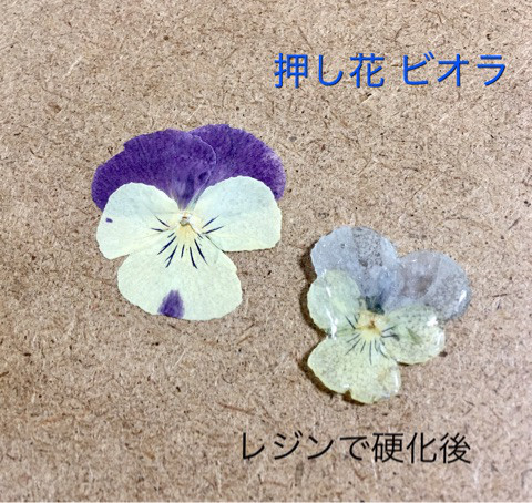 押し花でレジンアクセサリーの制作するサイトの注意点を公開 日本レジュフラワー協会